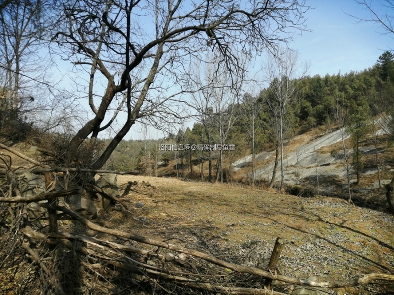 106.jpg